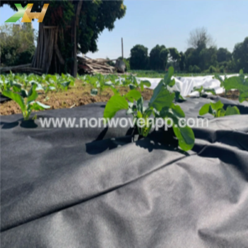 non woven ground cover